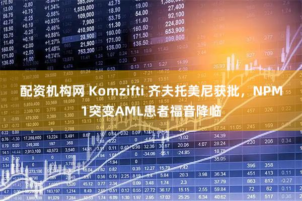 配资机构网 Komzifti 齐夫托美尼获批，NPM1突变AML患者福音降临